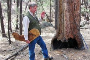 Wally Covington walking through a section of forest by Fort Tuthill in Flagstaff Arizona