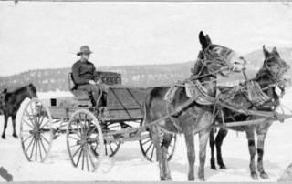 Black and White Carriage Being Pulled by a Donkey