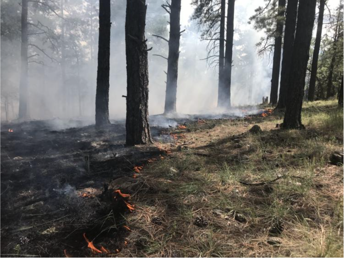 Smoke Tuesday on Flagstaff Ranger District from prescribed burns