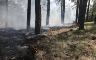 A small ground fire burning just west of Flagstaff