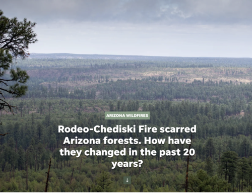 Rodeo-Chediski Fire scarred Arizona forests. How have they changed in the past 20 years?