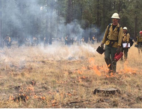 NAU Foresters Pioneer Nationwide Wildfire Treatment Map