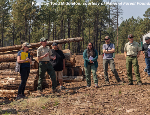 Summer 2024 ERI Newsletter – Native American Forest and Rangeland Management Program – Field Notes