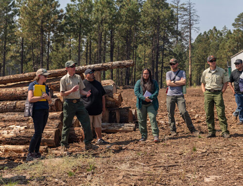 Summer 2024 ERI Newsletter – Native American Forest and Rangeland Management Program – Field Notes