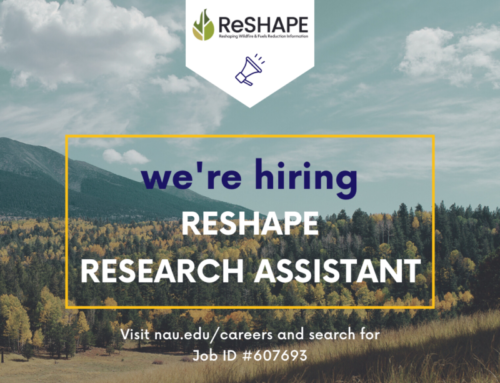 ReShape Research Assistant