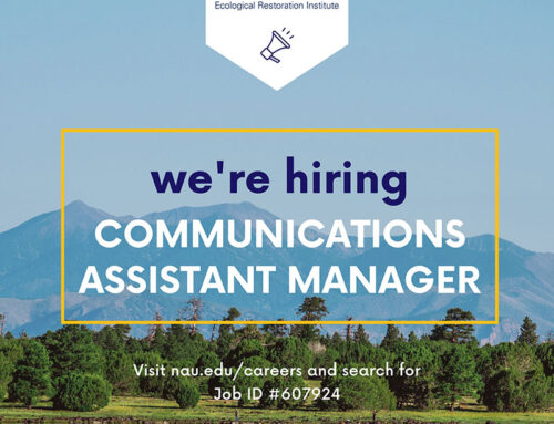 Communications Assistant Manager