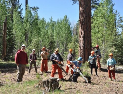 30 years after the deadly Dude Fire, work begins in the forest to prevent another disaster