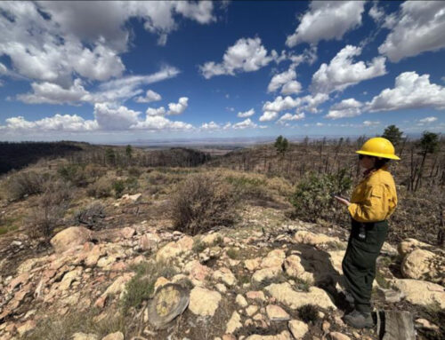 As Coconino County’s wildfires approach control, what’s ahead?