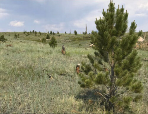 Science Flash – April 2025 -2