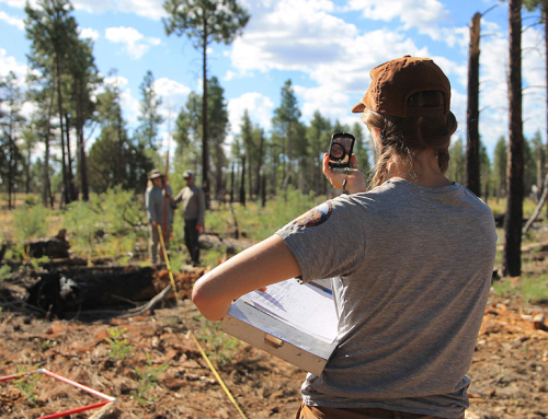 Winter 2025 ERI Newsletter – Ecology Group