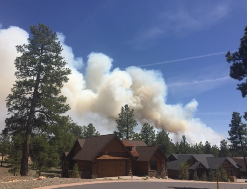 Winter 2025 ERI Newsletter – Human Dimensions and Partnerships