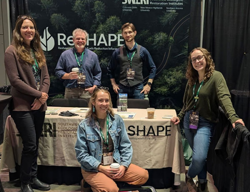 Winter 2025 ERI Newsletter – SWERI ReShape Program