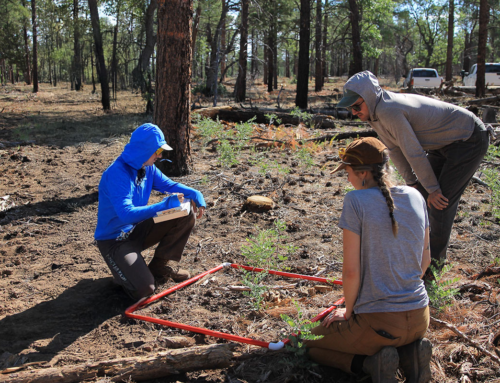 Manager, Restoration Ecology & Forest Resilience