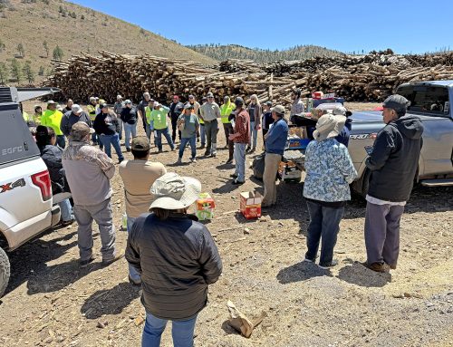 Summer 2026 ERI Newsletter – Tribal Forest Stewardship and Restoration Program – Field Notes